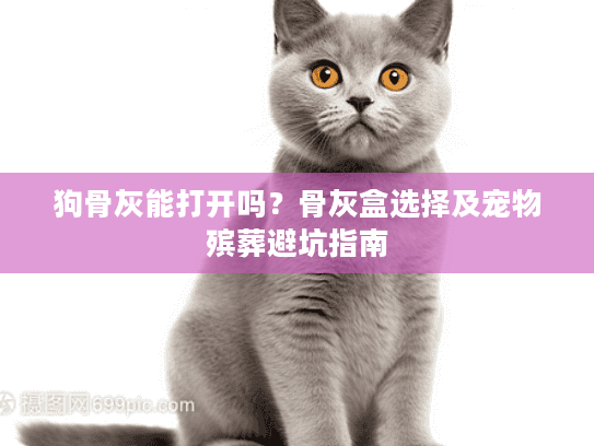 狗骨灰能打开吗？骨灰盒选择及宠物殡葬避坑指南