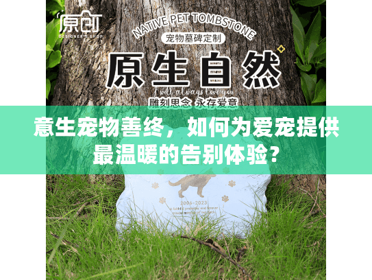 意生宠物善终，如何为爱宠提供最温暖的告别体验？