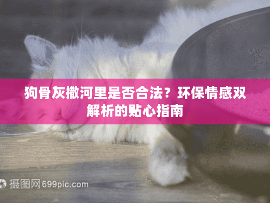 狗骨灰撒河里是否合法？环保情感双解析的贴心指南