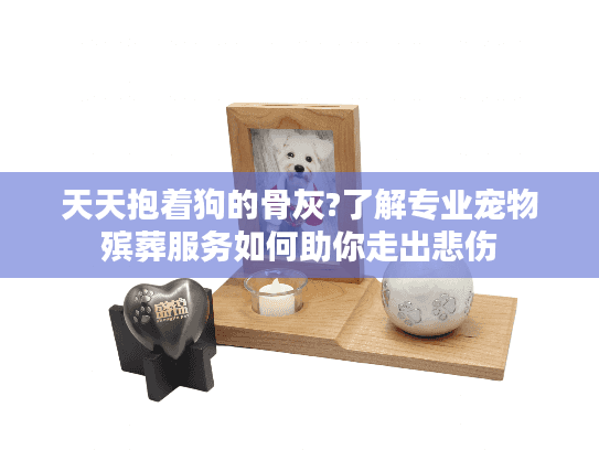 天天抱着狗的骨灰?了解专业宠物殡葬服务如何助你走出悲伤