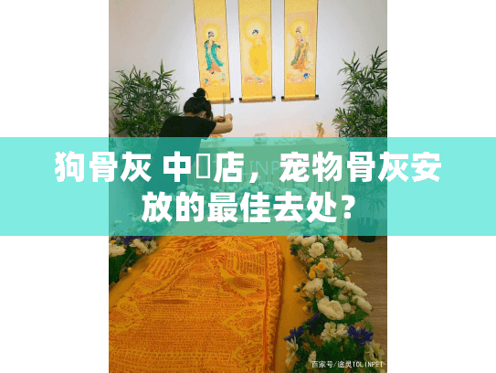 狗骨灰 中藥店，宠物骨灰安放的最佳去处？