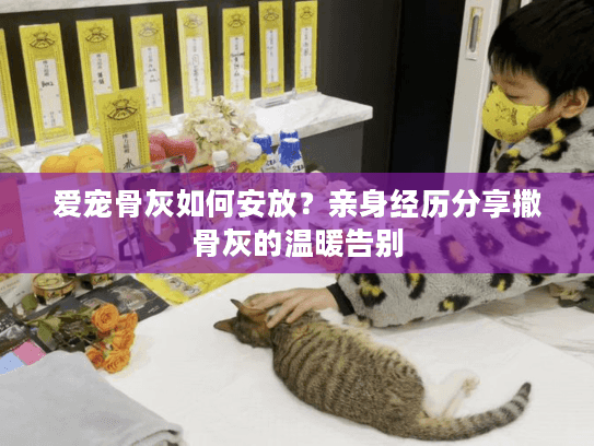 爱宠骨灰如何安放？亲身经历分享撒骨灰的温暖告别