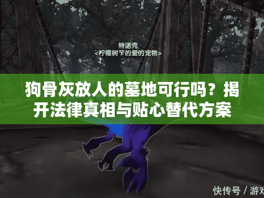狗骨灰放人的墓地可行吗？揭开法律真相与贴心替代方案