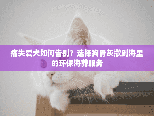 痛失爱犬如何告别？选择狗骨灰撒到海里的环保海葬服务
