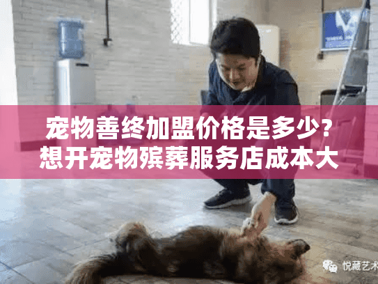 宠物善终加盟价格是多少?想开宠物殡葬服务店成本大揭秘