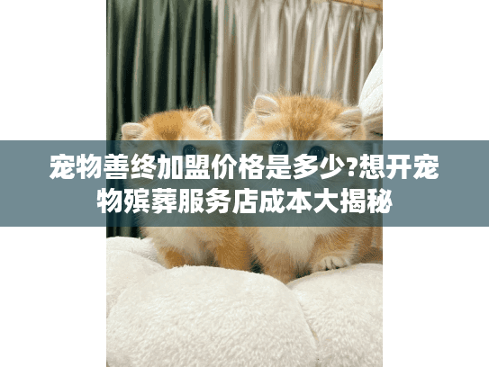 宠物善终加盟价格是多少?想开宠物殡葬服务店成本大揭秘