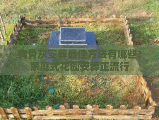 狗骨灰安葬最佳方法有哪些?家庭式花园安葬正流行