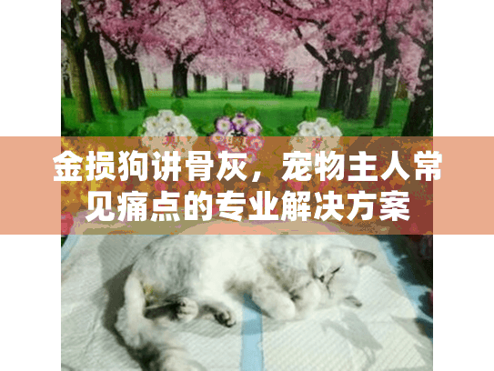 金损狗讲骨灰，宠物主人常见痛点的专业解决方案