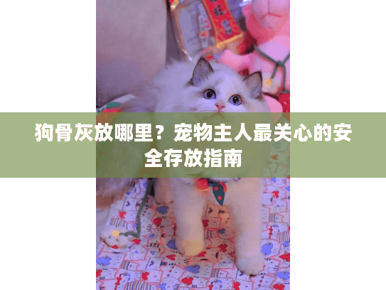 狗骨灰放哪里？宠物主人最关心的安全存放指南