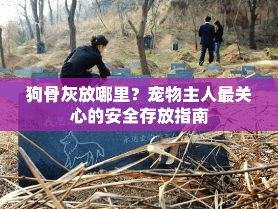 狗骨灰放哪里？宠物主人最关心的安全存放指南