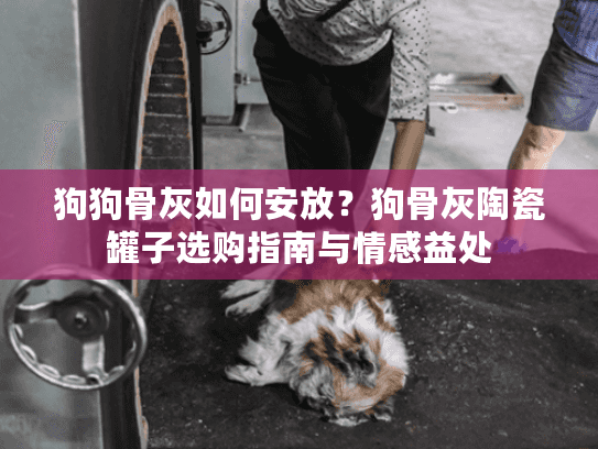 狗狗骨灰如何安放？狗骨灰陶瓷罐子选购指南与情感益处