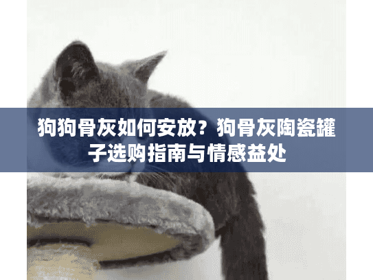 狗狗骨灰如何安放？狗骨灰陶瓷罐子选购指南与情感益处