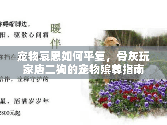宠物哀思如何平复，骨灰玩家唐二狗的宠物殡葬指南