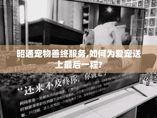 昭通宠物善终服务,如何为爱宠送上最后一程?
