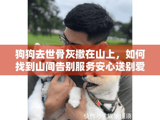 狗狗去世骨灰撒在山上，如何找到山间告别服务安心送别爱犬