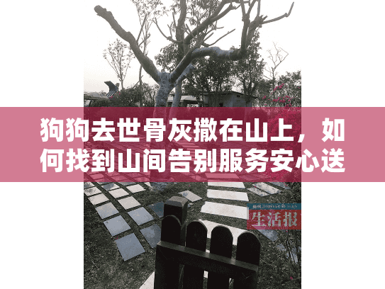 狗狗去世骨灰撒在山上，如何找到山间告别服务安心送别爱犬