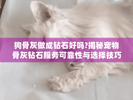 狗骨灰做成钻石好吗?揭秘宠物骨灰钻石服务可靠性与选择技巧