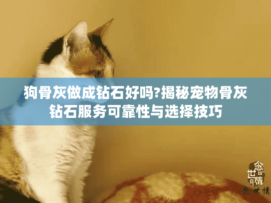 狗骨灰做成钻石好吗?揭秘宠物骨灰钻石服务可靠性与选择技巧