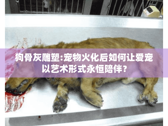 狗骨灰雕塑:宠物火化后如何让爱宠以艺术形式永恒陪伴？