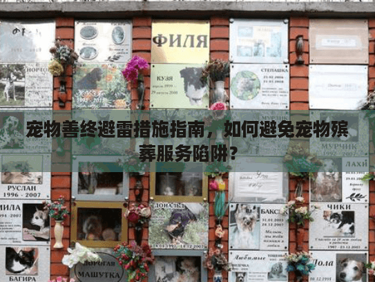 宠物善终避雷措施指南，如何避免宠物殡葬服务陷阱？