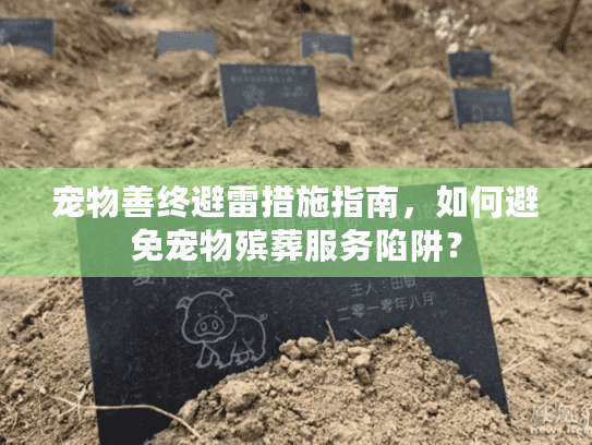宠物善终避雷措施指南，如何避免宠物殡葬服务陷阱？