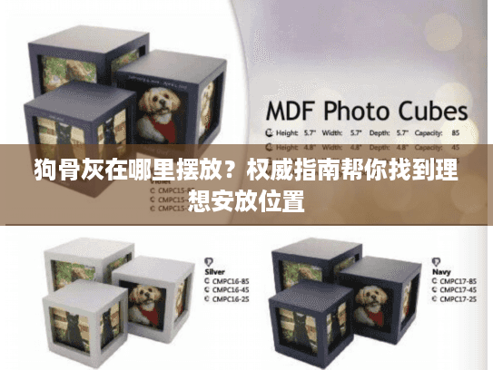 狗骨灰在哪里摆放？权威指南帮你找到理想安放位置