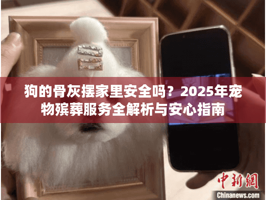 狗的骨灰摆家里安全吗？2025年宠物殡葬服务全解析与安心指南