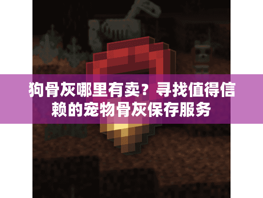 狗骨灰哪里有卖？寻找值得信赖的宠物骨灰保存服务