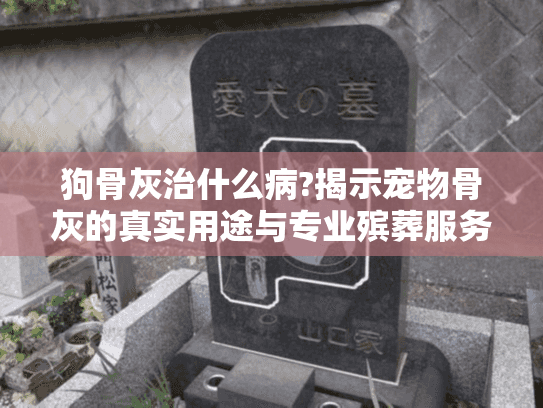 狗骨灰治什么病?揭示宠物骨灰的真实用途与专业殡葬服务选择指南