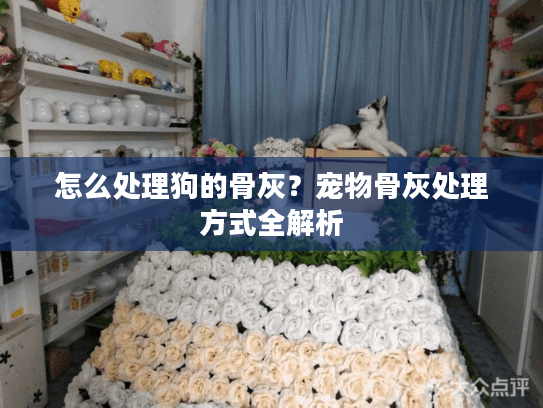 怎么处理狗的骨灰？宠物骨灰处理方式全解析