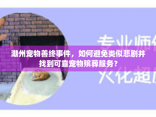 潮州宠物善终事件，如何避免类似悲剧并找到可靠宠物殡葬服务？
