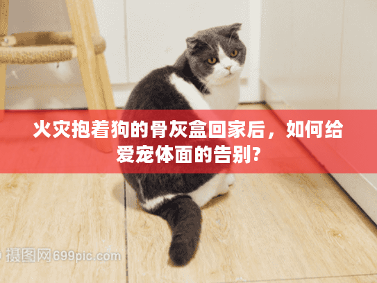 火灾抱着狗的骨灰盒回家后，如何给爱宠体面的告别?