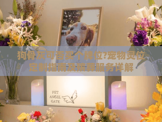 狗骨灰可否买个牌位?宠物灵位定制指南及殡葬服务详解