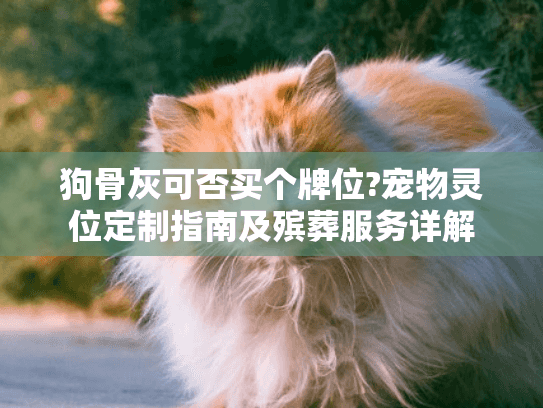 狗骨灰可否买个牌位?宠物灵位定制指南及殡葬服务详解