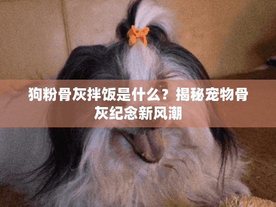 狗粉骨灰拌饭是什么？揭秘宠物骨灰纪念新风潮