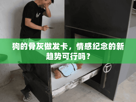 狗的骨灰做发卡，情感纪念的新趋势可行吗？