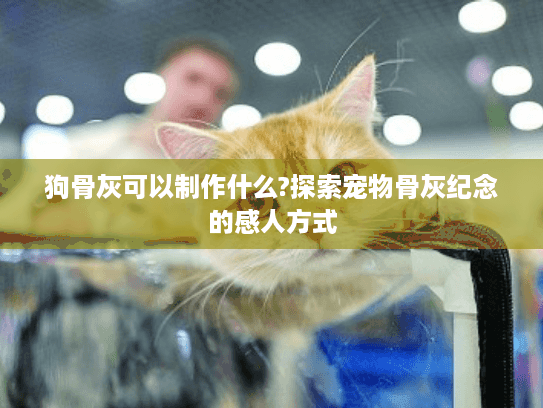 狗骨灰可以制作什么?探索宠物骨灰纪念的感人方式
