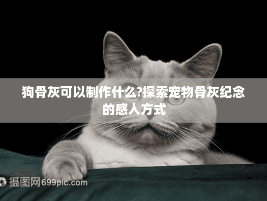 狗骨灰可以制作什么?探索宠物骨灰纪念的感人方式