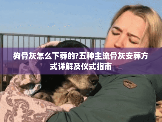 狗骨灰怎么下葬的?五种主流骨灰安葬方式详解及仪式指南