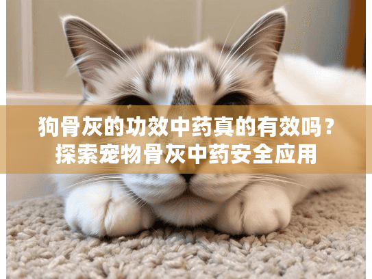狗骨灰的功效中药真的有效吗？探索宠物骨灰中药安全应用