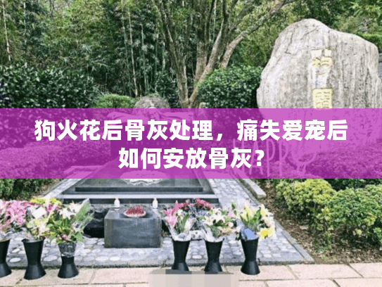 狗火花后骨灰处理，痛失爱宠后如何安放骨灰？