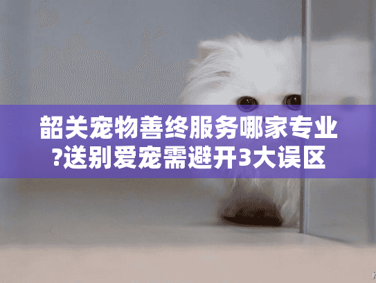 韶关宠物善终服务哪家专业?送别爱宠需避开3大误区