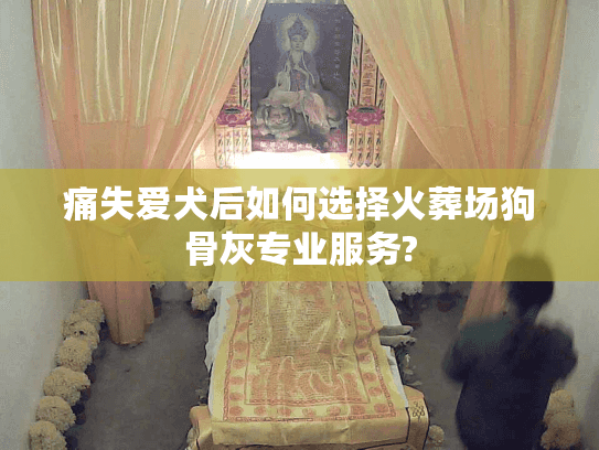痛失爱犬后如何选择火葬场狗骨灰专业服务?