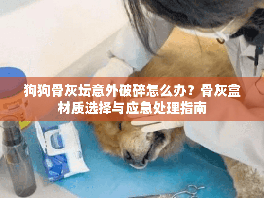 狗狗骨灰坛意外破碎怎么办？骨灰盒材质选择与应急处理指南