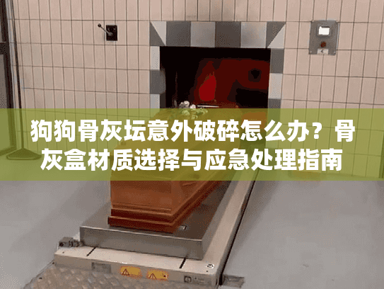 狗狗骨灰坛意外破碎怎么办？骨灰盒材质选择与应急处理指南