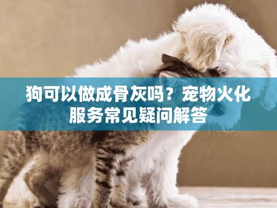 狗可以做成骨灰吗？宠物火化服务常见疑问解答