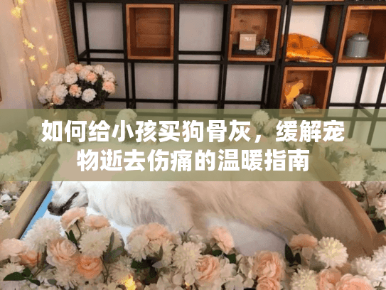 如何给小孩买狗骨灰，缓解宠物逝去伤痛的温暖指南