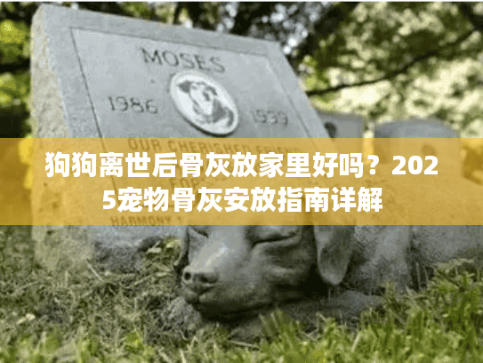 狗狗离世后骨灰放家里好吗？2025宠物骨灰安放指南详解