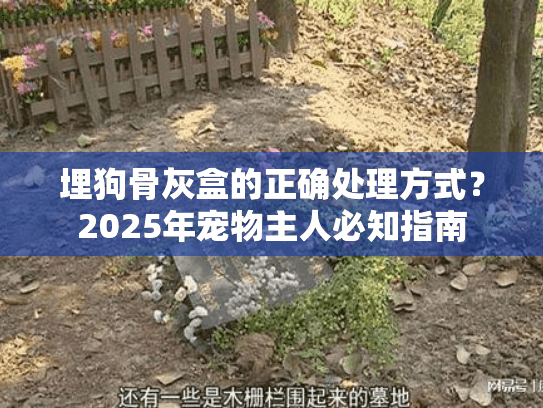埋狗骨灰盒的正确处理方式？2025年宠物主人必知指南