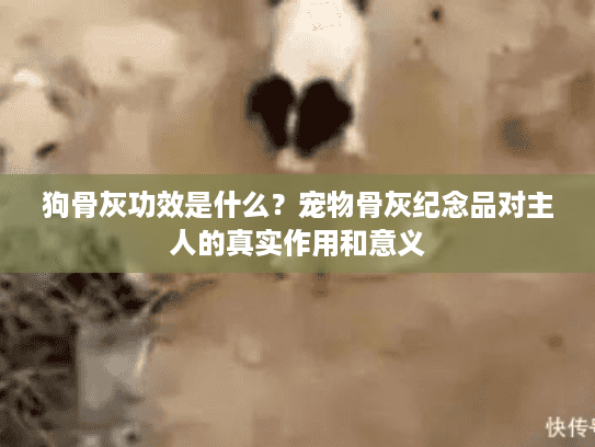 狗骨灰功效是什么？宠物骨灰纪念品对主人的真实作用和意义